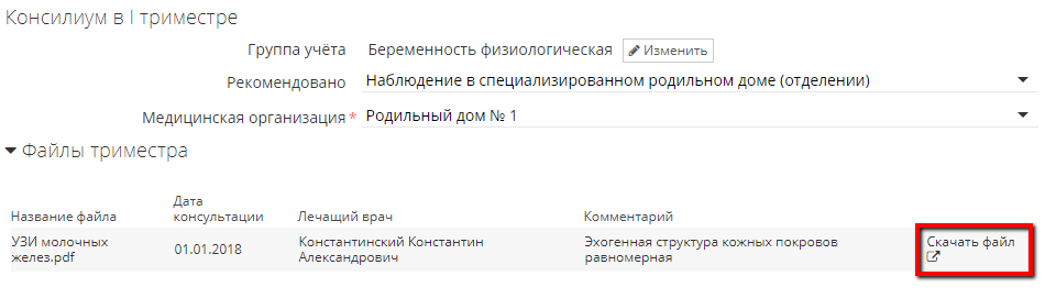 Опция «Скачать файл» в РСНБ